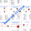 Immunology Nursing Notes
