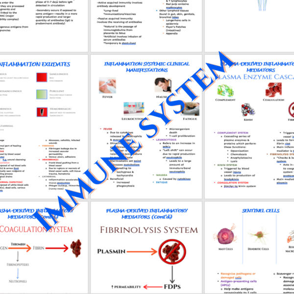 Immunology Nursing Notes