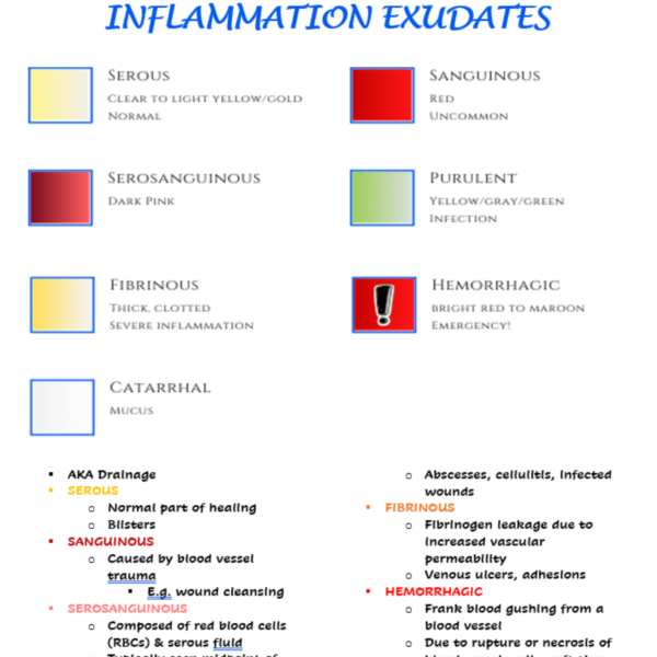 Immunology Nursing Notes