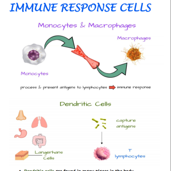 Immunology Nursing Notes