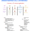 Immunology Nursing Notes