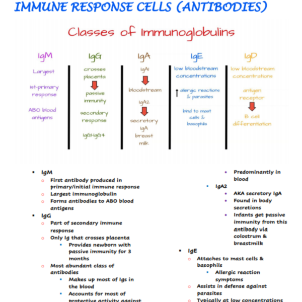 Immunology Nursing Notes