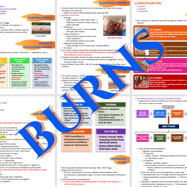 burns nursing notes