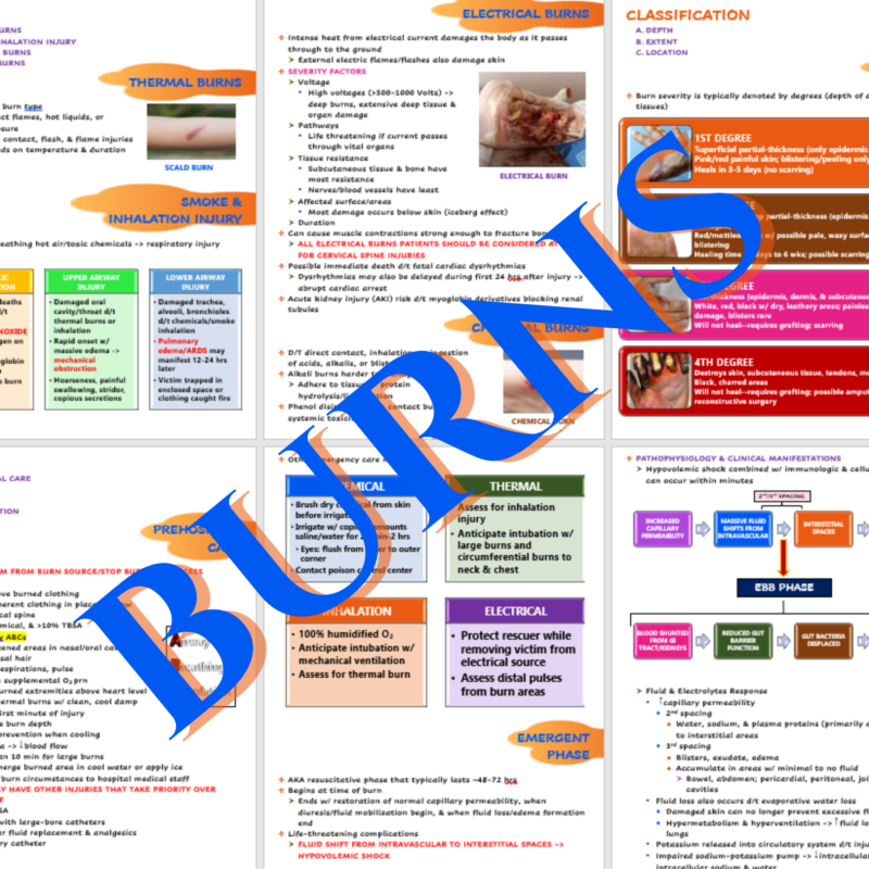 Nurse's Study Guide To Burns, PDF, Burn
