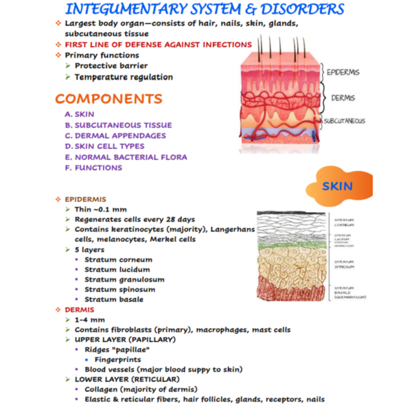 Integumentary Nursing Notes