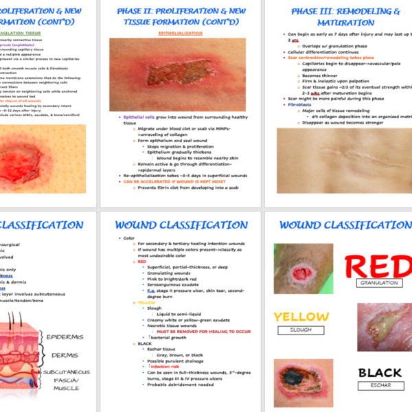 Wound healing nursing notes