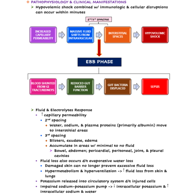 Nurse's Study Guide To Burns, PDF, Burn