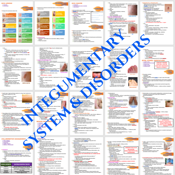 INTEGUMENTARY SYSTEM & DISORDERS NURSING STUDY GUIDE
