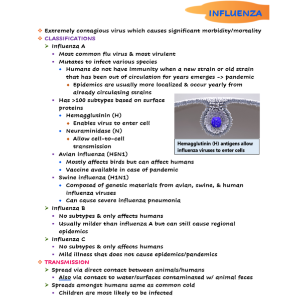 Influenza Nursing Notes