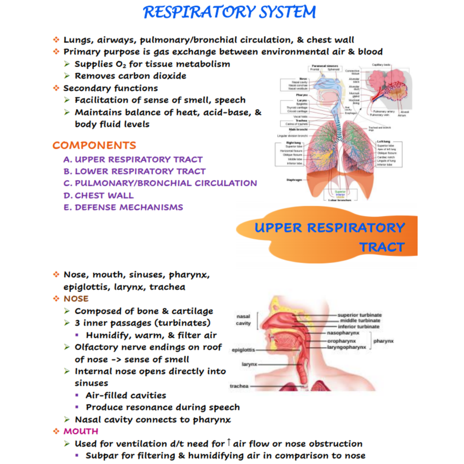 case study on respiratory system
