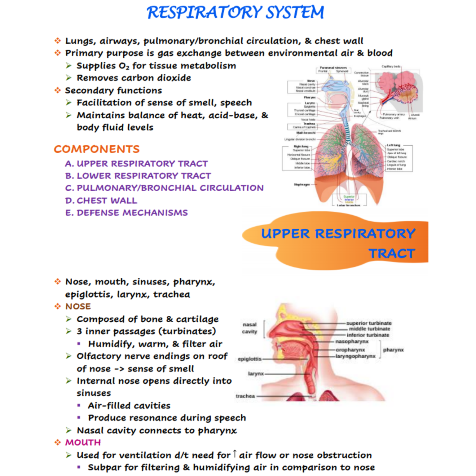 respiratory system case presentation