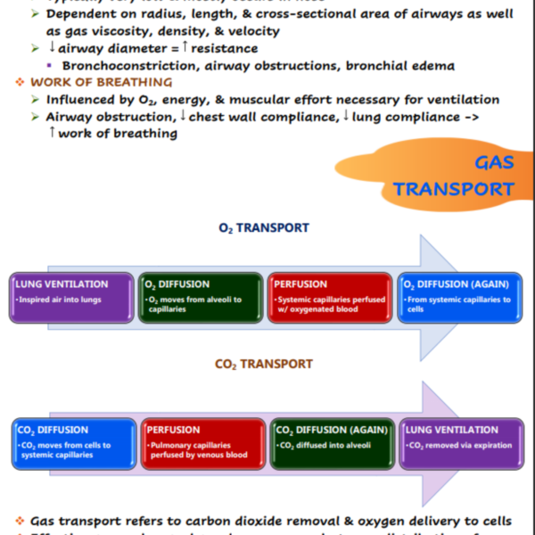 Respiratory System Nursing Notes