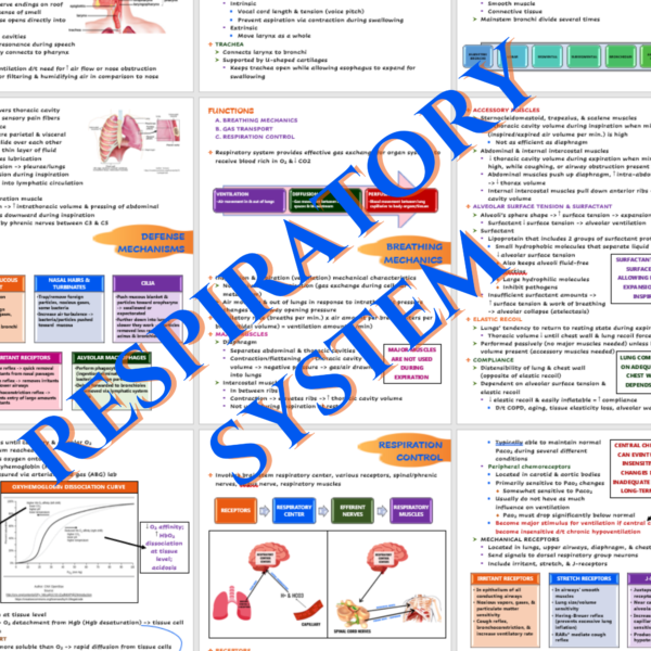 Respiratory System Nursing Notes