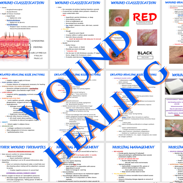 Nursing Notes Bundle for Integumentary System/Disorders, wound healing, burns, & pressure ulcers