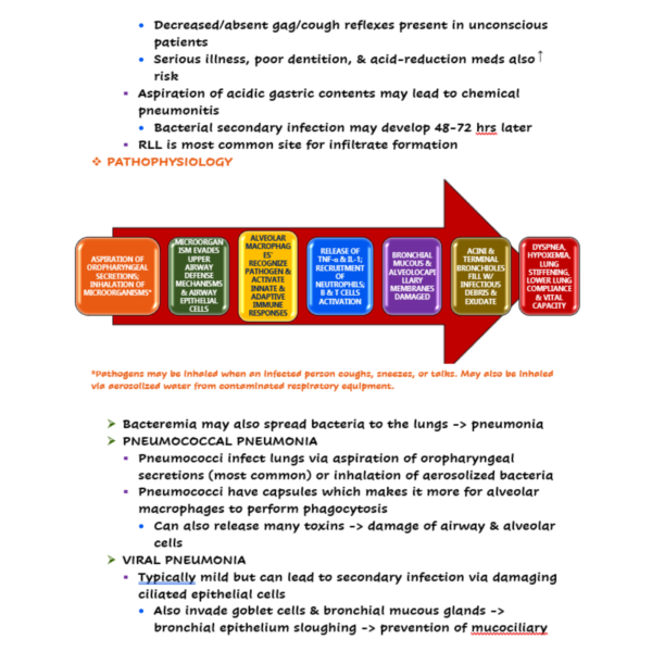 Pneumonia Nursing Notes